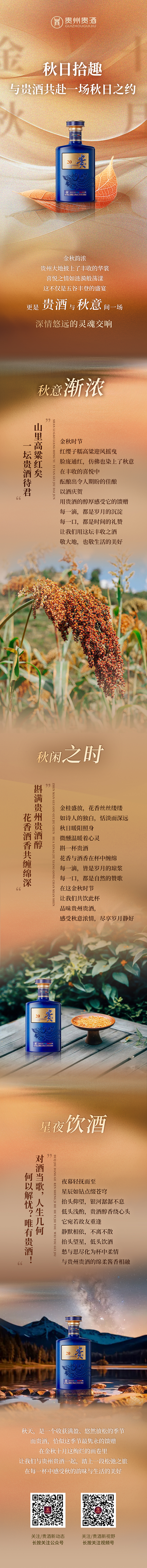 81249642.png 81249642.png